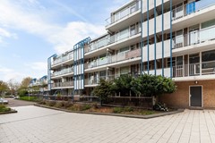 Zadkinerade 17_03.jpg